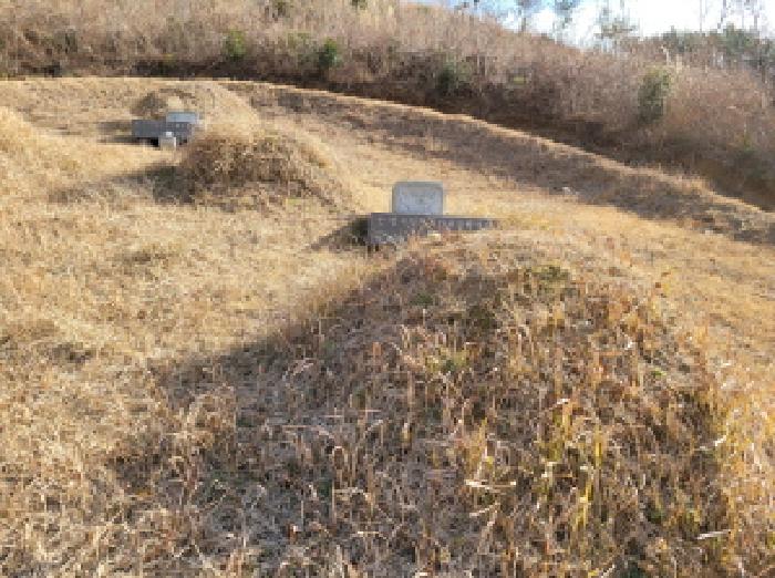 2025타경52409 임야 · 전라남도 고흥군 포두면