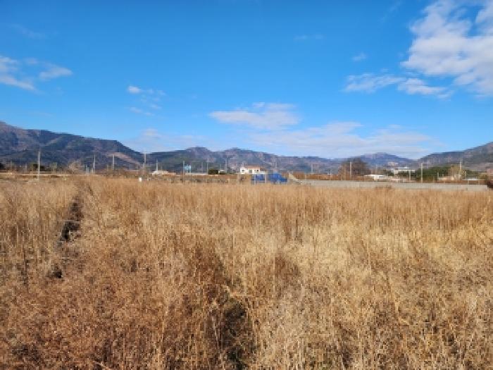2025타경52454 전답 · 전라남도 순천시 낙안면 교촌리 432-1