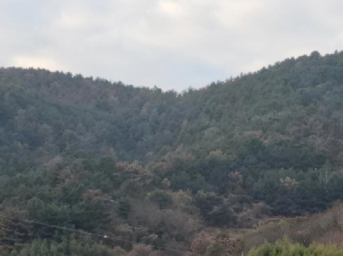 2025타경710 · 전라남도 여수시 돌산읍 둔전리 672-1