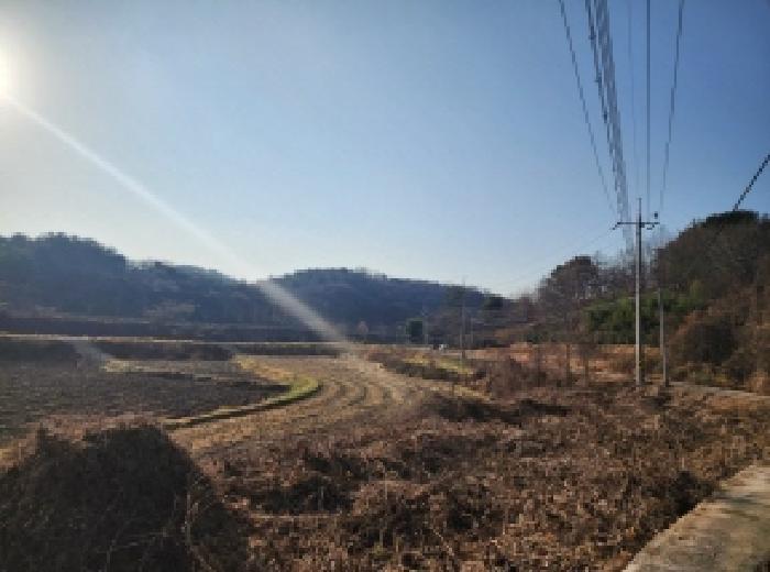 2025타경727 임야 · 전라남도 광양시 광양읍 세풍리 산128-2