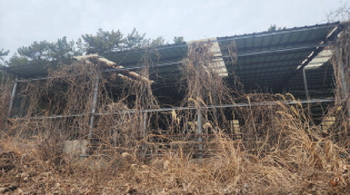 2025타경740 · 전라남도 고흥군 풍양면 송정리 992 제1동