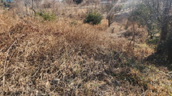 2025타경753 · 전라남도 고흥군 봉래면 예내리 606