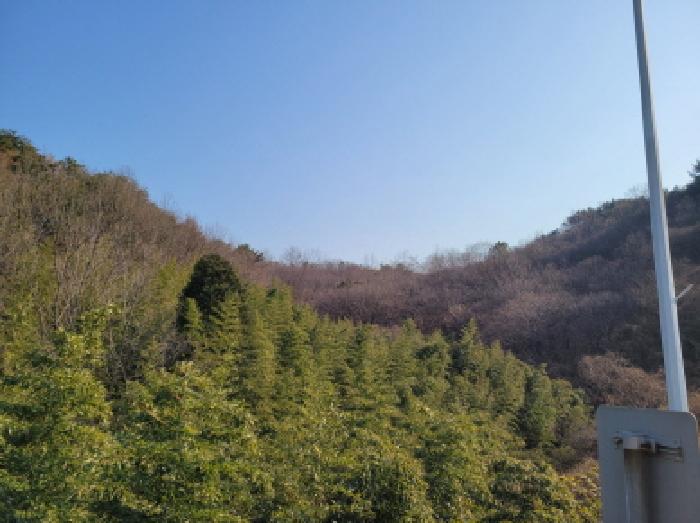 2025타경757 임야 · 전라남도 광양시 황금동 산200