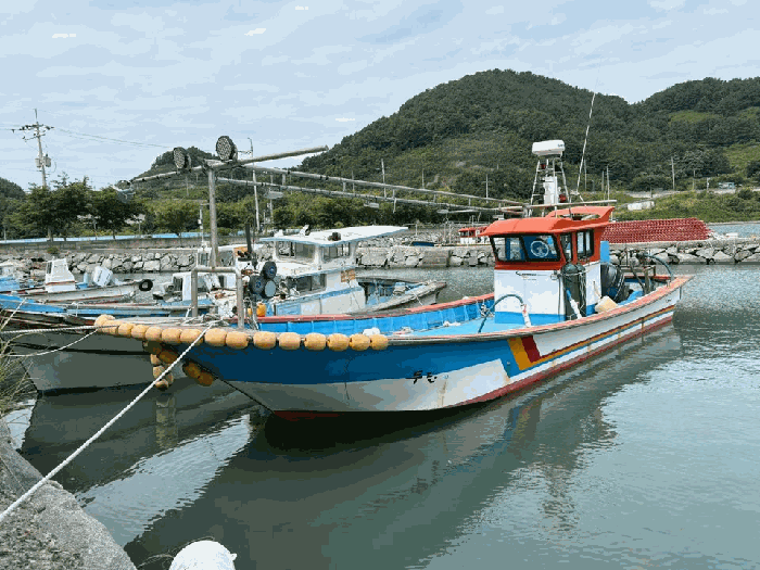 2026타경133 · 선적항 : 전라남도 보성군 회천면