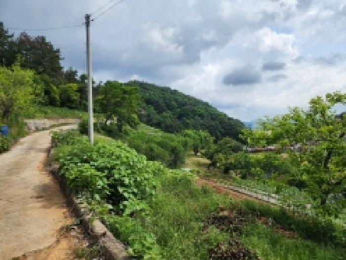 2026타경134 · 전라남도 여수시 화양면 창무리 619-5