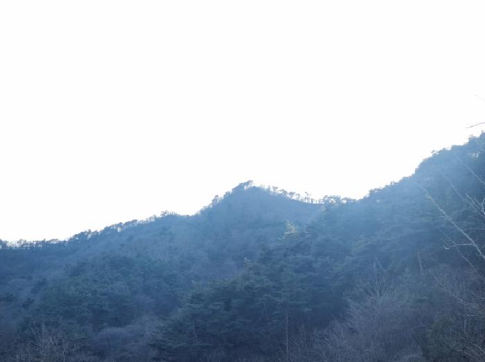 2026타경50035 임야 · 전라남도 순천시 주암면 운룡리 산261-1