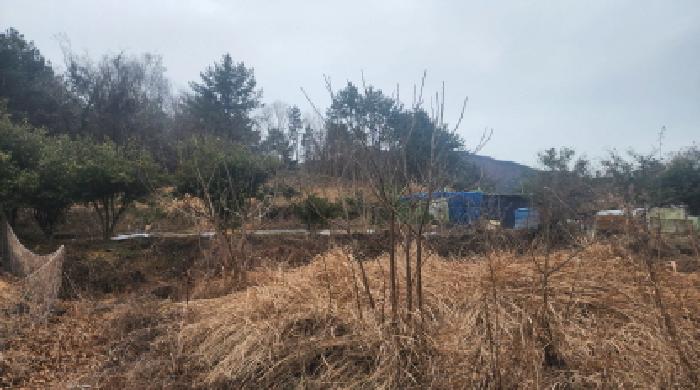 2026타경50045 전답 · 전라남도 고흥군 금산면