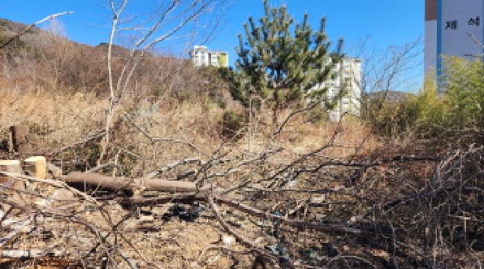 2026타경50088 대지 · 전라남도 보성군 벌교읍