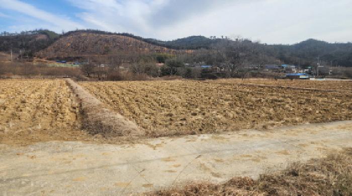 2026타경50095 전답 · 전라남도 보성군 노동면