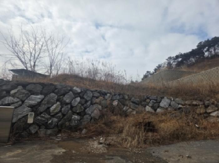 2026타경50148 임야 · 전라남도 순천시 해룡면 남가리 392-12