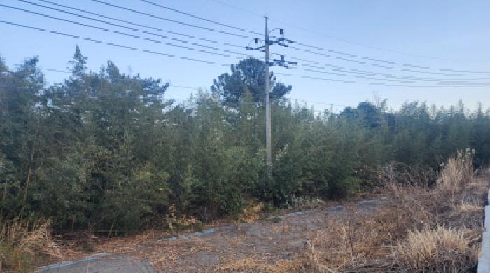 2026타경50157 임야 · 전라남도 고흥군 금산면
