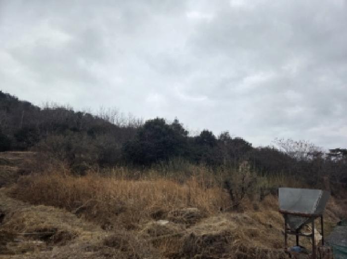 2026타경50225 · 전라남도 순천시 별량면 마산리 677
