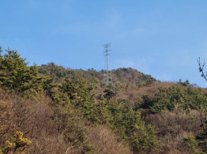 2026타경50233 임야 · 전라남도 여수시 소라면 봉두리 산352