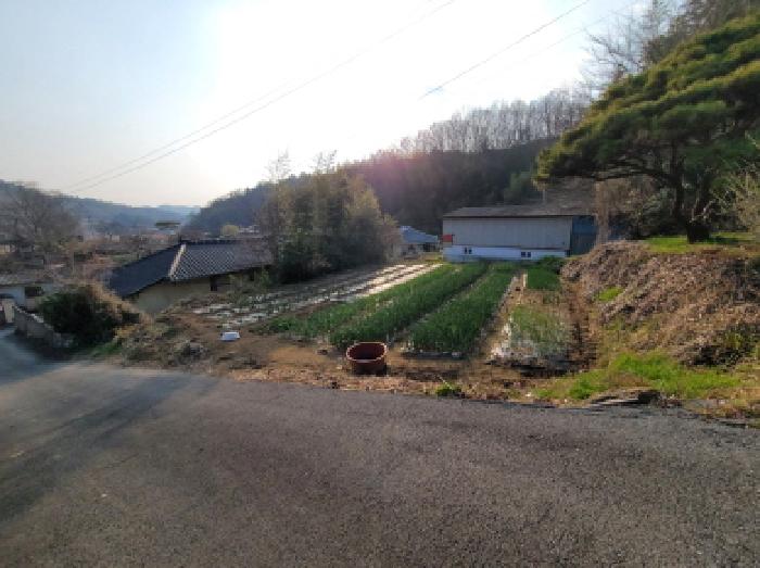 2026타경50353 대지 · 전라남도 보성군 겸백면 수남리 517