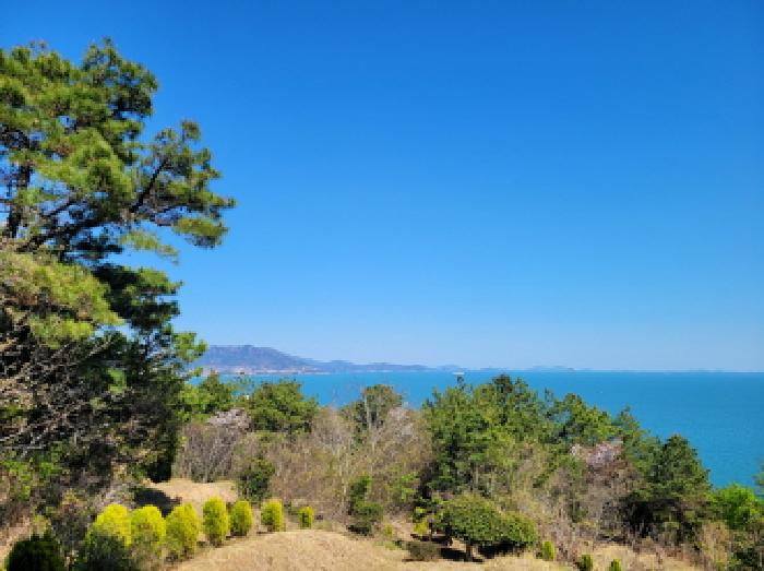 2026타경50394 임야 · 전라남도 여수시 돌산읍 우두리 산8-8