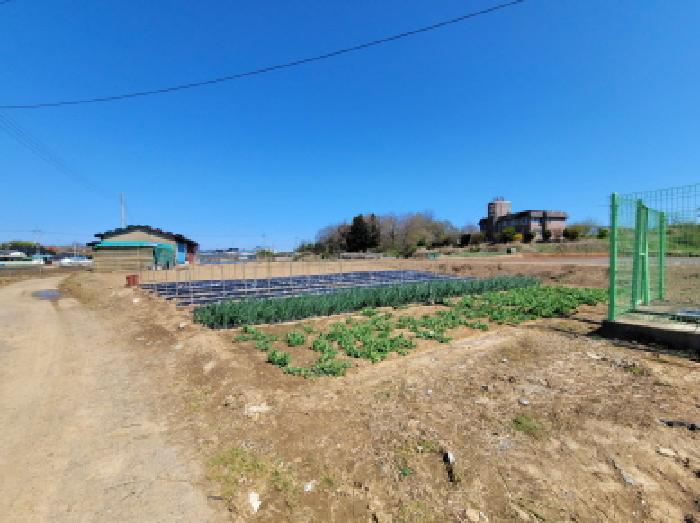 2026타경50400 전답 · 전라남도 보성군 벌교읍