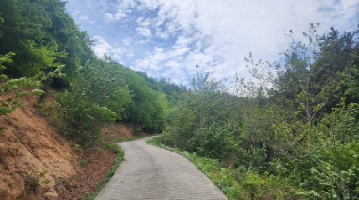 2026타경50458 임야 · 전라남도 광양시 성황동 산99-1