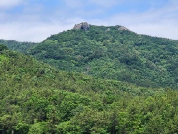 2026타경50635 임야 · 전라남도 보성군 득량면 도촌리 산109-7