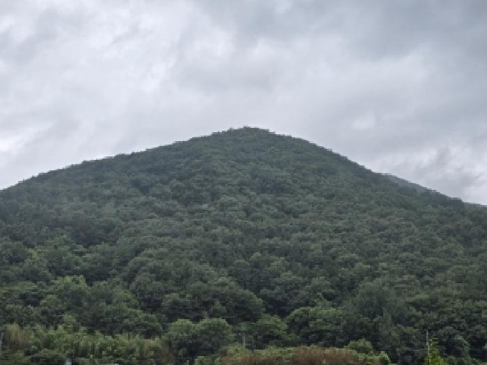 2026타경50902 임야 · 전라남도 구례군 토지면 송정리 산66-1