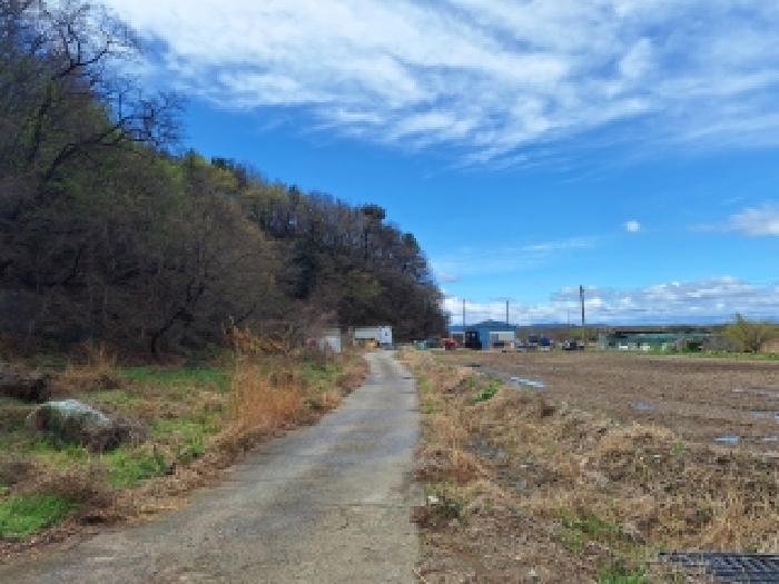 2026타경71 임야 · 전라남도 여수시 묘도동 산284-5