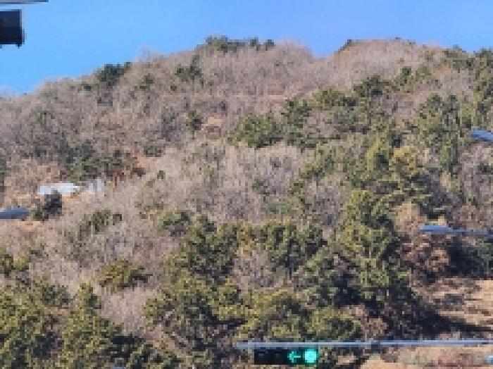 2026타경8 임야 · 전라남도 여수시 덕충동 산91