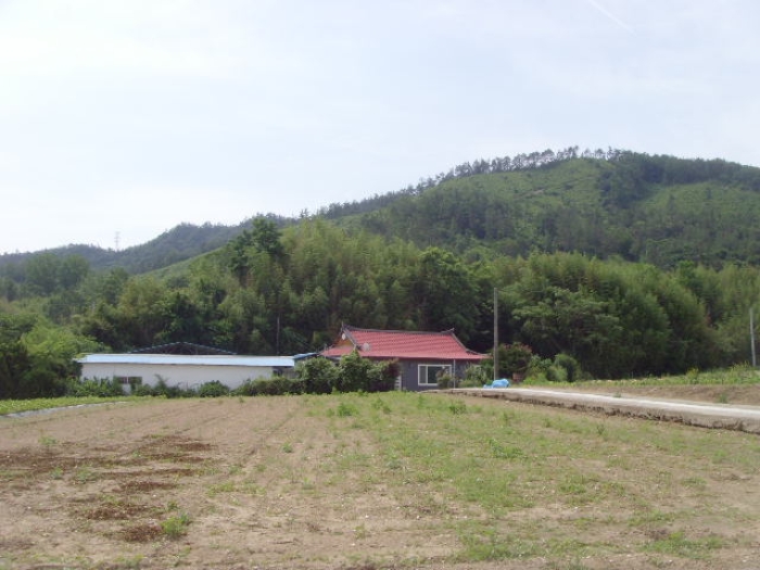 2023타경52331 · 전라남도 해남군 삼산면 원진리 752-1