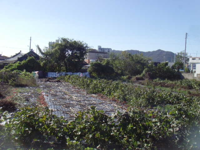 2024타경2098 · 전라남도 해남군 해남읍 평동리 191-7