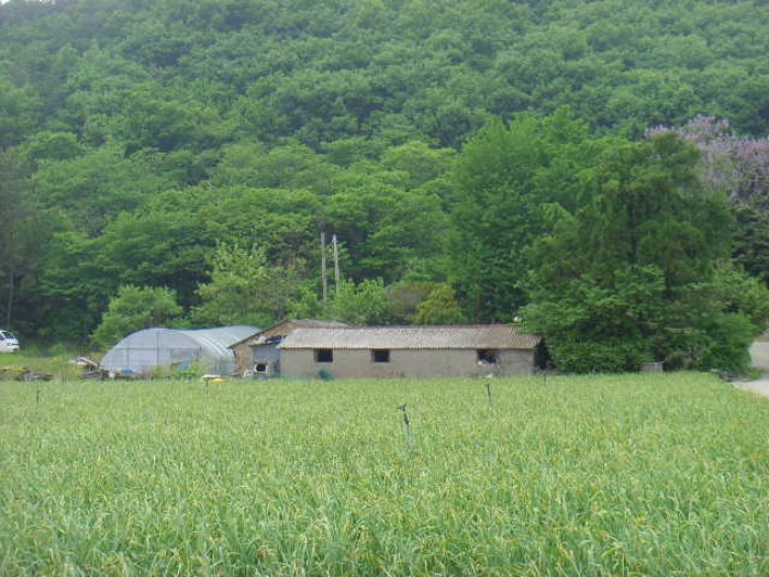2024타경51670 · 전라남도 해남군 현산면 황산리 106-10