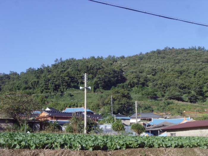 2024타경54648 임야 · 전라남도 해남군 화원면 후산리 산384-3