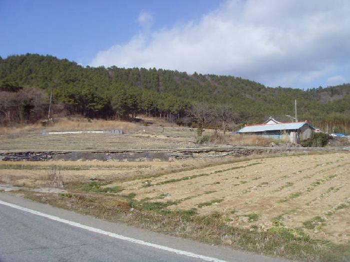 2025타경50340 · 전라남도 해남군 화원면 신덕리 1195-2