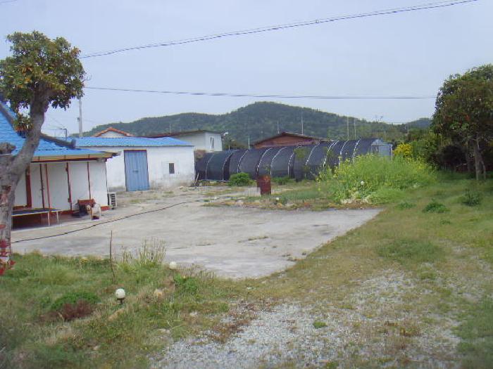 2025타경50440 대지 · 전라남도 해남군 북평면 평암리 687