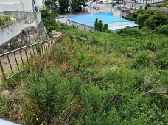 2025타경50506 대지 · 전라남도 완도군 완도읍 군내리 307-39