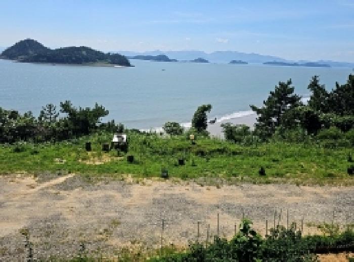 2025타경50537 임야 · 전라남도 해남군 화산면 평호리 산93-11