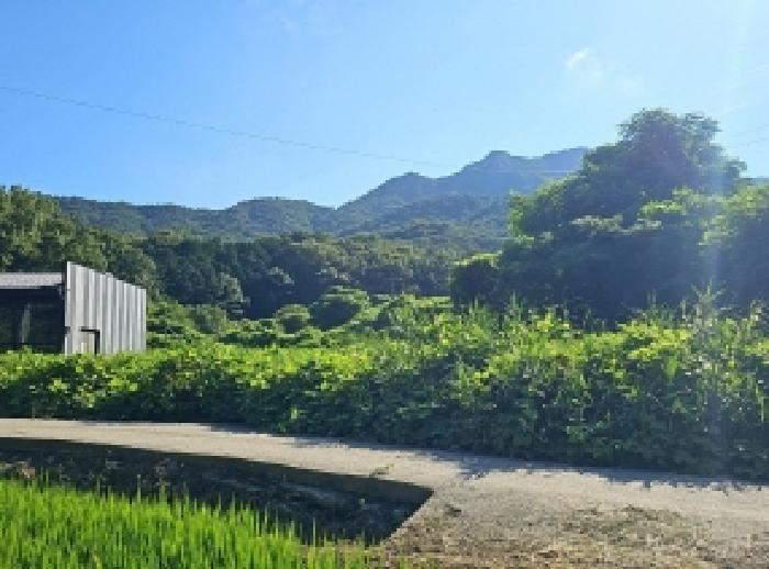 2025타경50567 대지 · 전라남도 해남군 계곡면 당산리 769