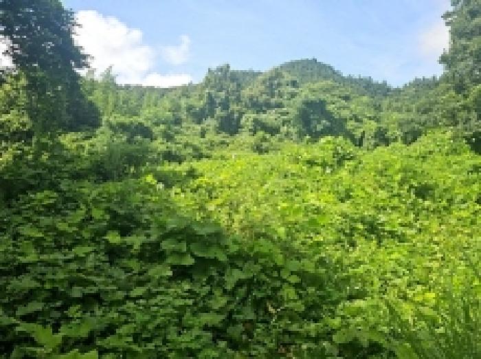 2025타경50573 · 전라남도 해남군 화원면 장춘리 141
