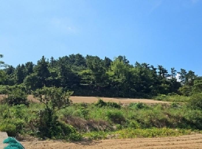 2025타경50601 · 전라남도 해남군 문내면 서상리 114
