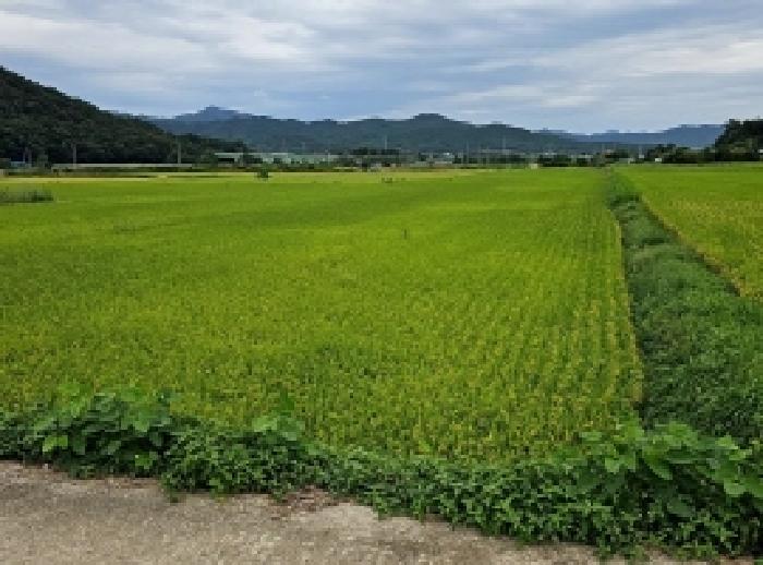 2025타경50632 전답 · 전라남도 해남군 옥천면 신계리 801-10
