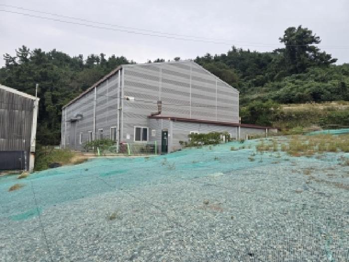 2025타경50652 대지 · 전라남도 완도군 금일읍 장정리 427