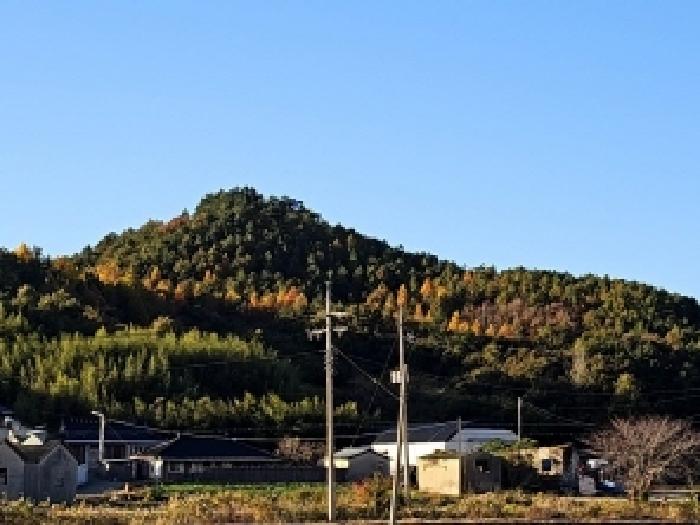 2025타경50690 임야 · 전라남도 해남군 송지면 학가리 산36-7
