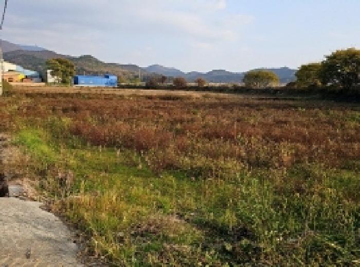 2025타경50714 임야 · 전라남도 해남군 현산면 고현리 514