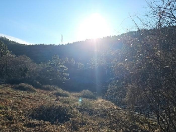 2025타경50745 임야 · 전라남도 해남군 화원면 후산리 산328