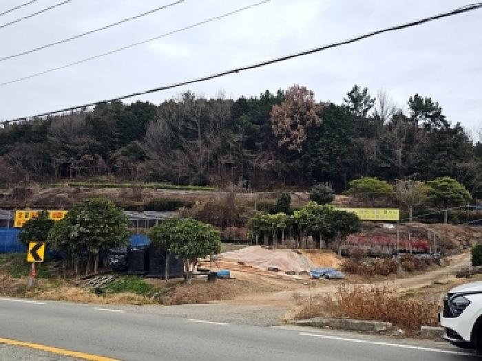 2025타경50749 임야 · 전라남도 해남군 현산면 황산리 산76-1