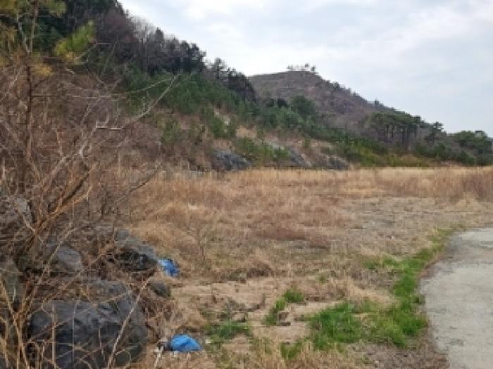 2026타경1007 임야 · 전라남도 해남군 현산면 황산리 산105-14