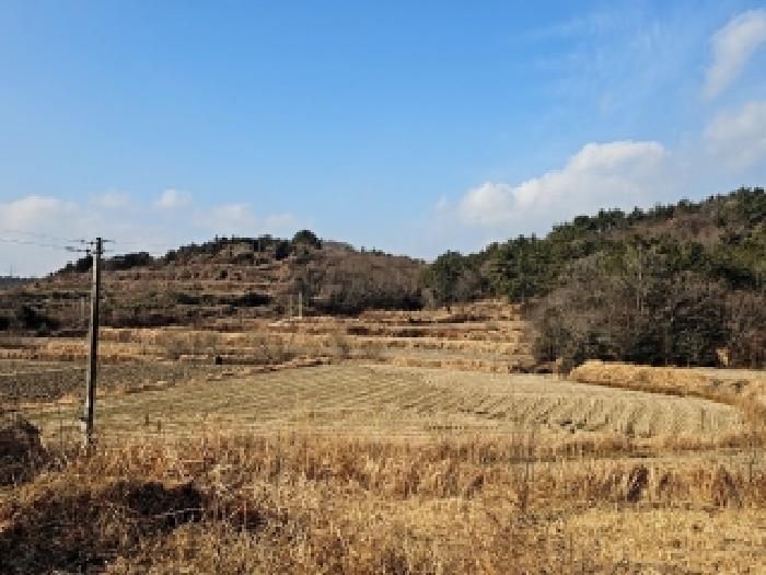 2026타경50001 임야 · 전라남도 해남군 북일면 만수리 산31