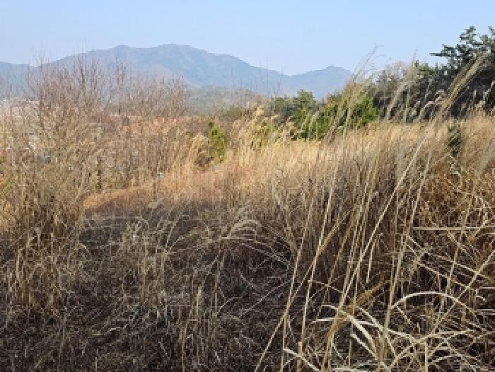 2026타경50071 · 전라남도 해남군 해남읍 연동리 925-1