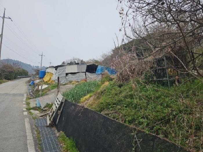 2026타경50099 · 전라남도 완도군 완도읍 군내리 393-3