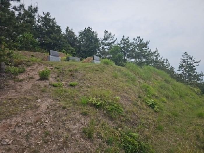 2026타경50137 임야 · 전라남도 해남군 문내면 용암리 산88