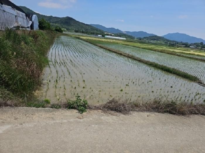 2026타경50202 전답 · 전라남도 해남군 해남읍 연동리 475-10