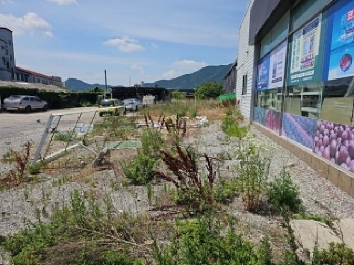 2026타경50209 전답 · 전라남도 해남군 해남읍 고도리 155-7