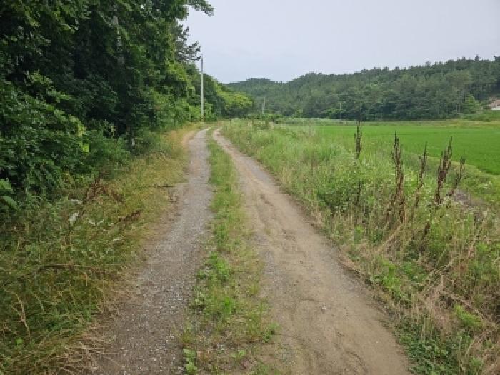 2026타경50217 전답 · 전라남도 해남군 송지면 어란리 289